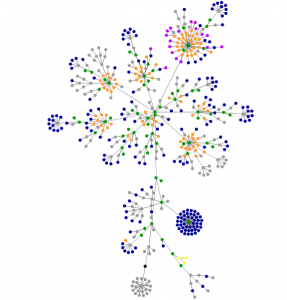 blogblume2011